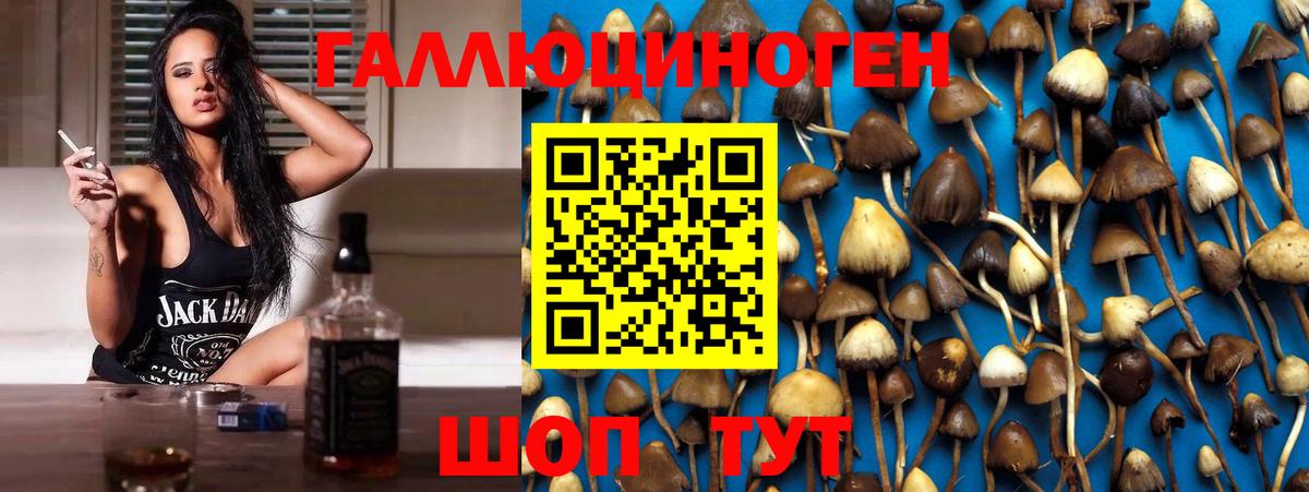 Галлюциногенные грибы мицелий  Галлюциногенные грибы Psilocybe  Вход с VPN  Рассказово 