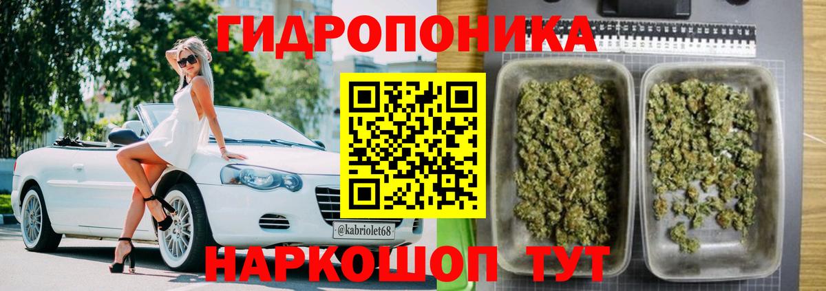 Конопля планчик  Бошки марихуана планчик  Рассказово  Вход с VPN 